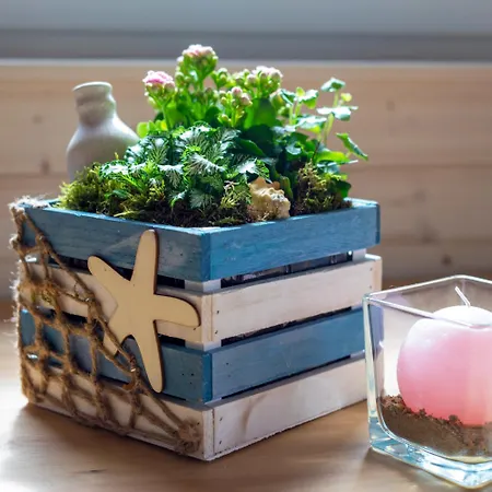 Hotel en barco Hausboot Kaddi's Sunflower - Huus & *