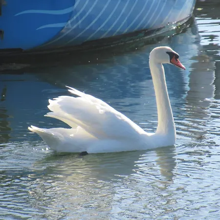 Hausboot Kaddi's Sunflower - Huus & Ботель Гросенброде